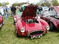 Locust Enthusiasts Club - Locust Kit Car - Stoneleigh 2007 - 003.JPG